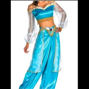 Disney Princess Jasmine Adult Prestige Costume Retail $90